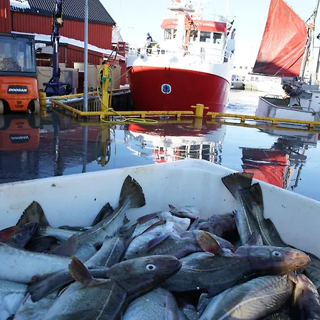 Penzion Lydersen Rorbuer Budget & Private