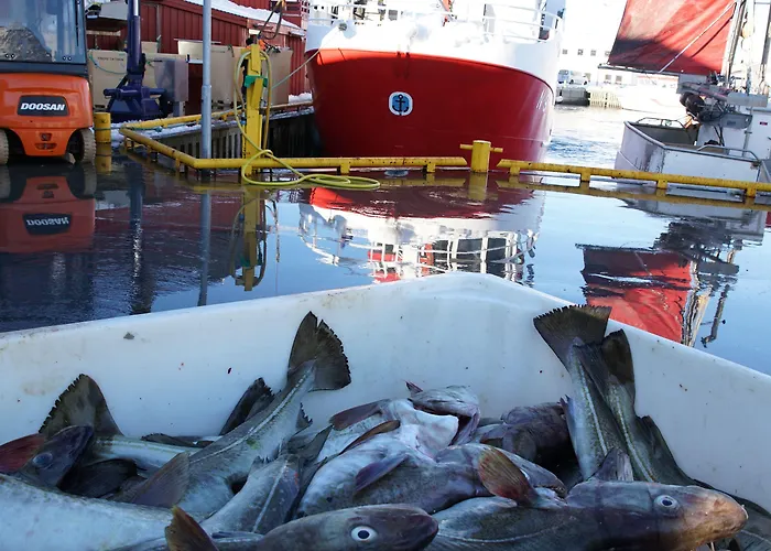 Inn Lydersen Rorbuer Budget & Private