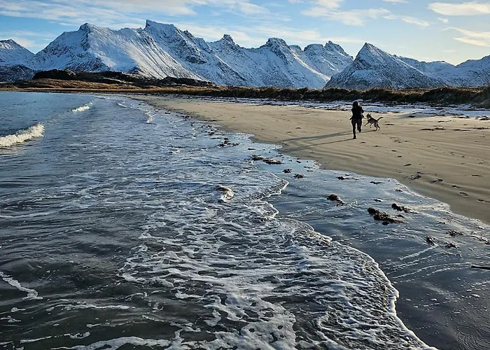 Han/Misafirhane Lydersen Rorbuer Budget & Private