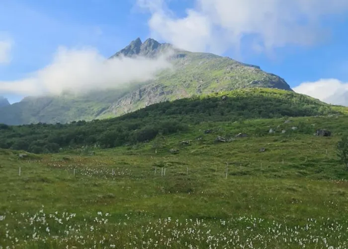 Lydersen Rorbuer Budget & Private Fredvang